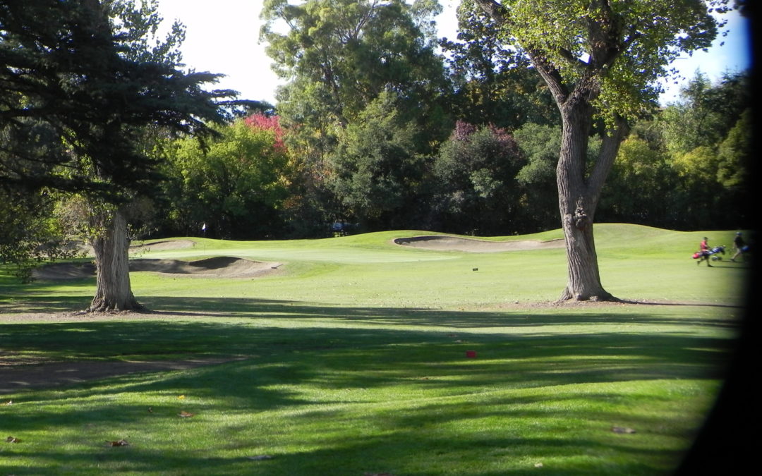 Sacramento’s CORE: Par, Birdie, Eagle.  Albatross next?